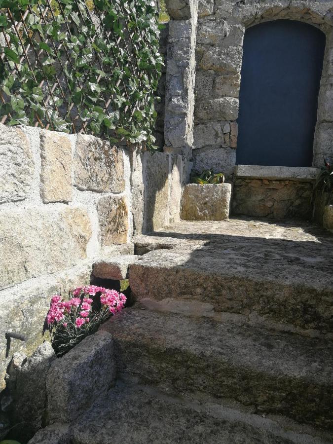 Casa Colmeia Esposende Exterior foto